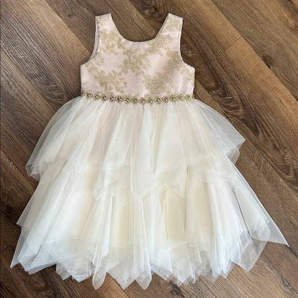 American Princess Other - American Princess Girls Toddler Dress Beautiful Fancy Light Pink, Gold, & White